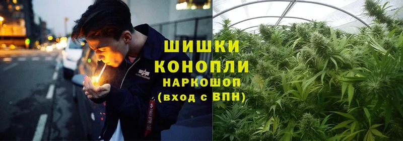 как найти закладки  Осташков  Бошки марихуана White Widow 